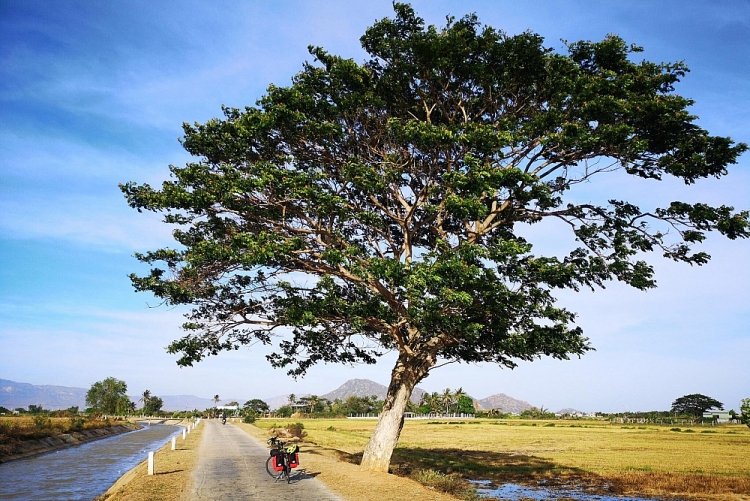 Khám phá cung đường biển hoang sơ hấp dẫn du khách