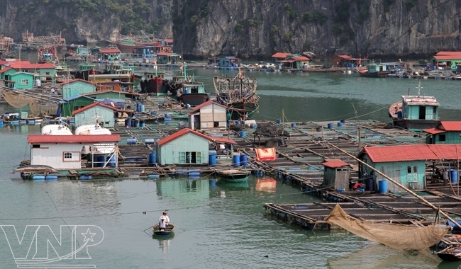 Khám phá làng chài cổ nhất Việt Nam