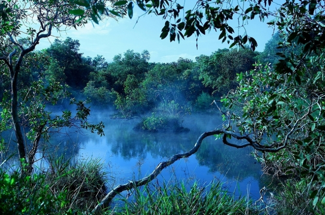 Vẻ đẹp hoang sơ đậm màu duyên hải ở Hồ Tràm