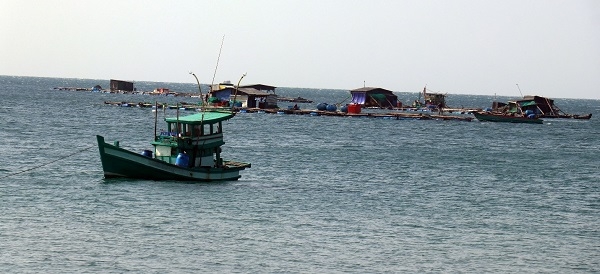 Nuôi cá lồng bè trên vùng biển An Thới, thành phố Phú Quốc (Kiên Giang).