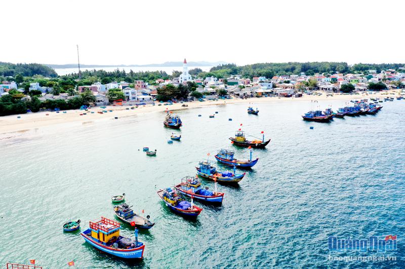Vùng ven biển Quảng Ngãi  ngày càng phát triển.    Ảnh: MINH THU