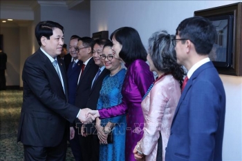 chu tich nuoc luong cuong lam viec voi cac dai su viet nam tai chau phi
