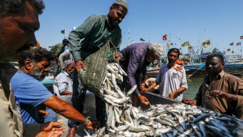 ngu dan pakistan lo tau ca trung quoc lam can kiet ngu truong