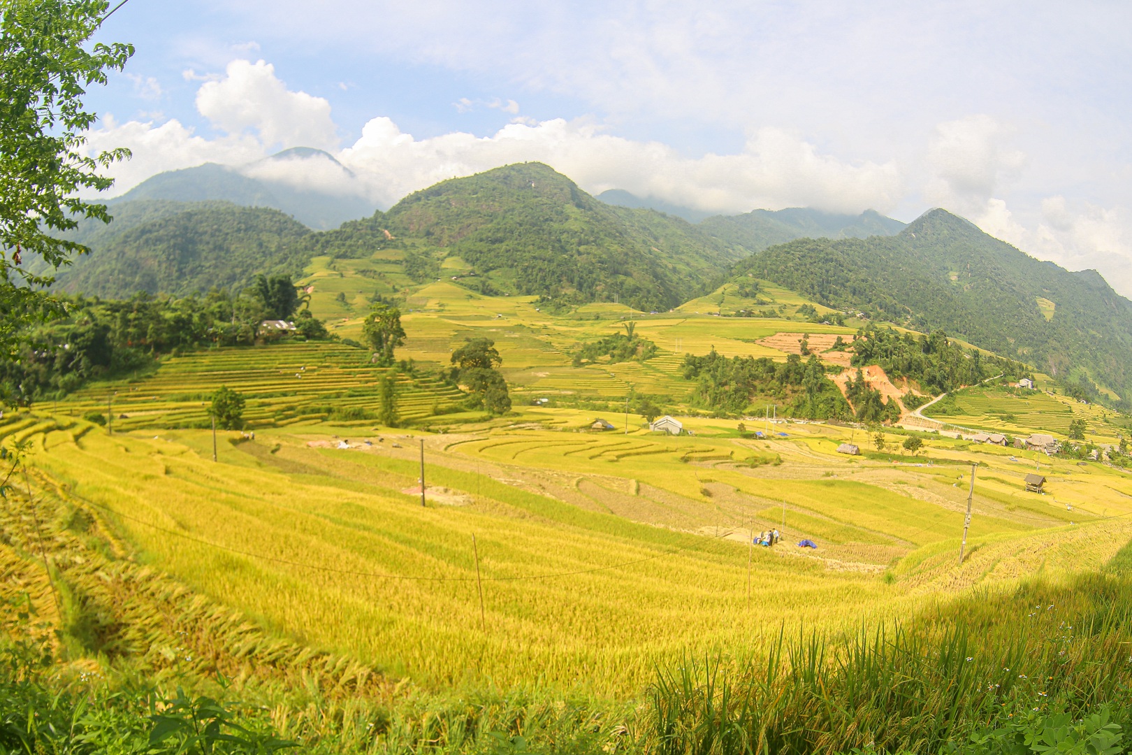 Đi săn mùa vàng ở Sa Pa - 2