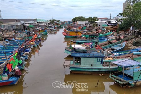 Cà Mau: Phát triển nghề cá bền vững, có trách nhiệm