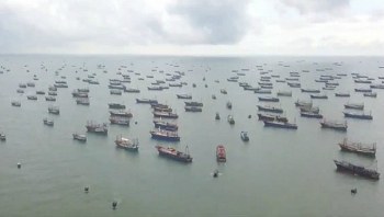 Cảnh báo nguy cơ cạn kiệt hải sản do Trung Quốc xây đảo nhân tạo và đánh bắt quá mức