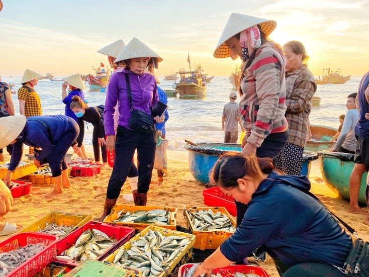 Bình minh chợ cá