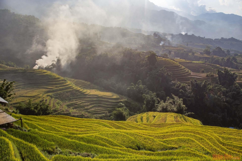 Thơ mộng mùa lúa chín ở thung lũng Mường Hoa