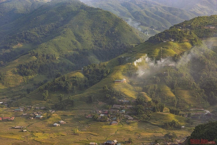 Thơ mộng mùa lúa chín ở thung lũng Mường Hoa