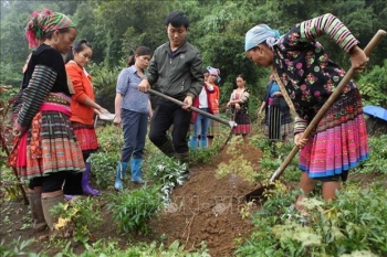 Lai Châu: Đào tạo nghề cho lao động nông thôn ở huyện vùng cao Sìn Hồ