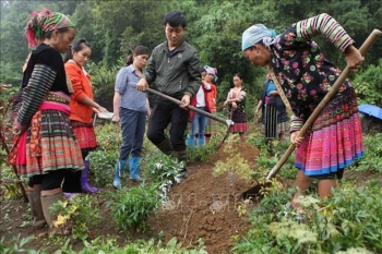 Lào Cai: Đào tạo nghề cho lao động nông thôn ở huyện vùng cao Sìn Hồ