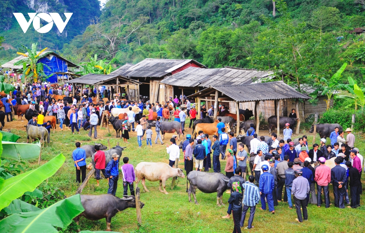 Mỗi phiên chợ, mỗi bản làng đều để lại một ấn tượng rất riêng. Sản vật mùa thu là chiếc bánh tam giác mạch, chai mật ong bạc hà hay những trái cam sành Hà Giang tươi mọng.