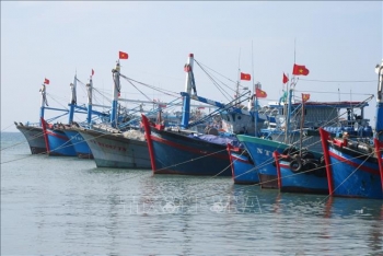 Cuối năm 2021 chấm dứt tình trạng vi phạm khai thác hải sản ở vùng biển nước ngoài