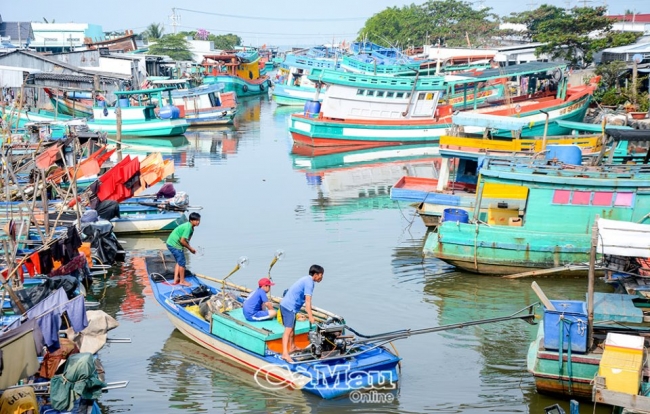 Nhọc nhằn nghề mưu sinh ven biển