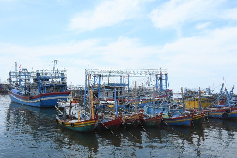 Tàu ghe tại cảng cá Bình Châu (huyện Xuyên Mộc) sẵn sàng vươn khơi đánh bắt hải sản (Ảnh: Báo Bà Rịa- Vũng Tàu) 