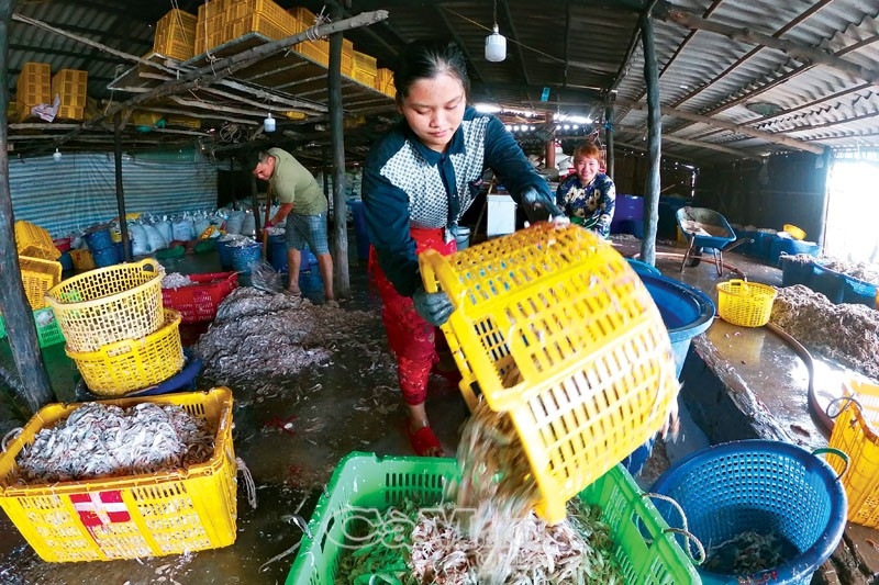 Đổi thay  ở “làng Thuỵ Sĩ”