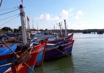 Quảng Nam: Sớm kiện toàn các khu neo đậu cho tàu cá tránh bão