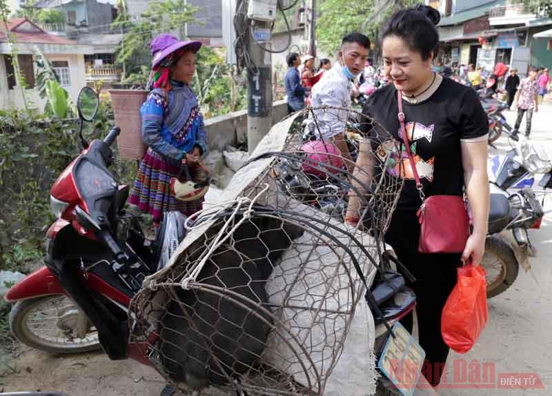 Lôi cuốn Chợ phiên Cốc Pài -0