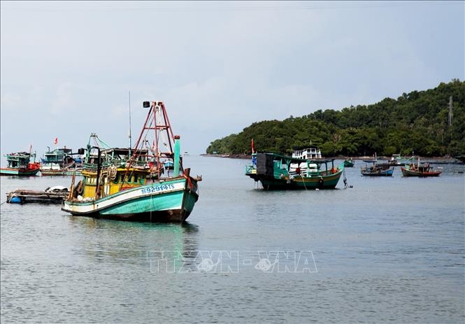 Tàu cá trên vùng biển thành phố Hà Tiên. Ảnh: Hồng Đạt/TTXVN