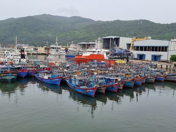 Đà Nẵng cấm tàu thuyền ra khơi
