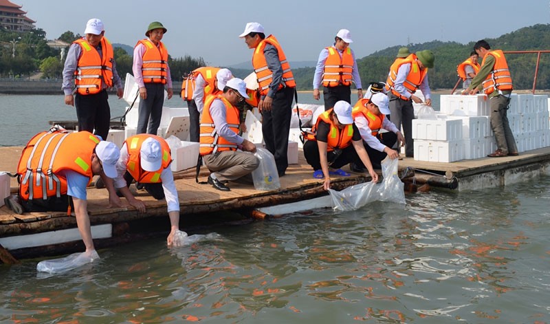 Bảo vệ nguồn lợi thủy sản gắn với phòng, chống khai thác IUU