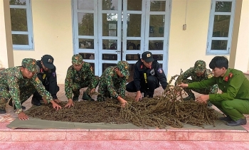 12kg thao moc nghi la can sa kho duoc van chuyen trai phep qua bien gioi