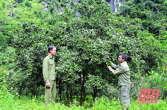 Thanh Hóa: Khám phá thiên nhiên thơ mộng núi rừng Tây Bắc ở Kho Mường