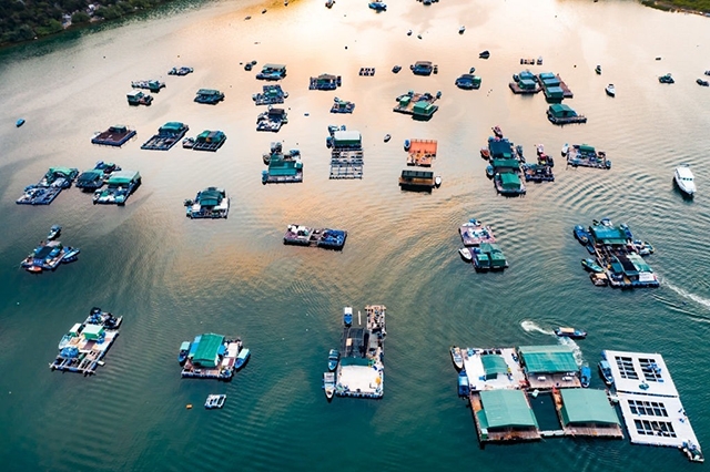 Phát triển kinh tế biển từ thủy sản &ndash; Tạp chí Thủy sản Việt Nam