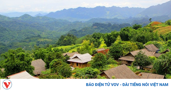Tục lệ "ở rể thử thách" thú vị của người Thái Tây Bắc