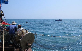 Bạc Liêu, Quảng Ngãi tăng cường kiểm tra, kiểm soát tàu cá, chống khai thác bất hợp pháp