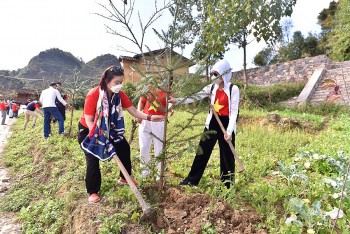 Hà Giang trồng 10.000 cây xanh trên các tuyến du lịch vùng biên Hà Giang trồng 10.000 cây xanh trên các tuyến du lịch vùng biên