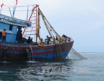 quang ninh xu ly nghiem nhieu phuong tien khai thac hai san bang ngu cu bi cam