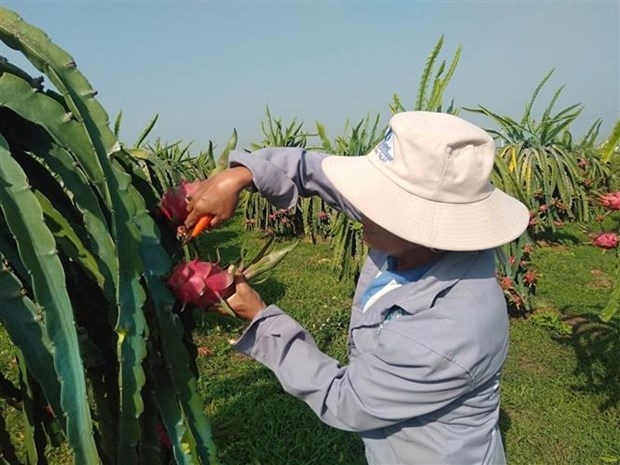 Bảo hộ nhãn hiệu Việt ở nước ngoài: Khẳng định vị thế cạnh tranh