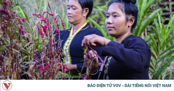 Về biên giới Lả Chà vui Tết Hoa cùng đồng bào dân tộc Cống