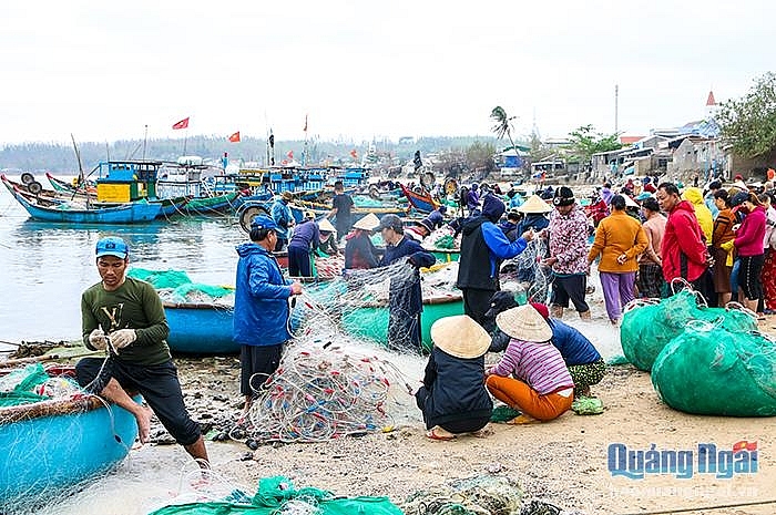 Nhộn nhịp làng chài ngày biển lặng