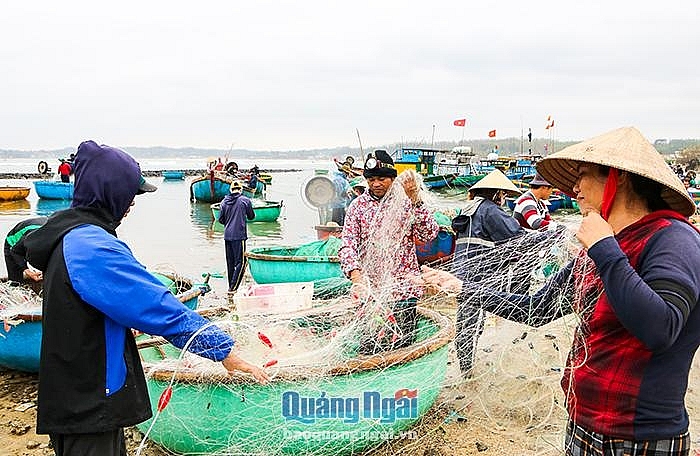 Nhộn nhịp làng chài ngày biển lặng