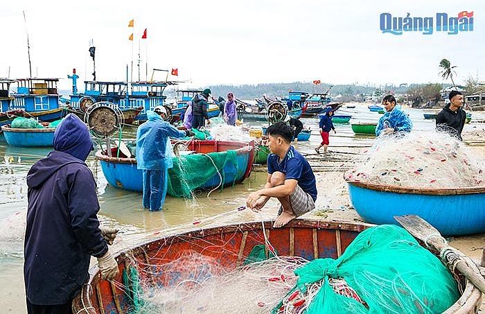 Nhộn nhịp làng chài ngày biển lặng