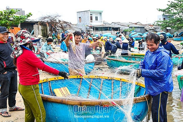 Nhộn nhịp làng chài ngày biển lặng