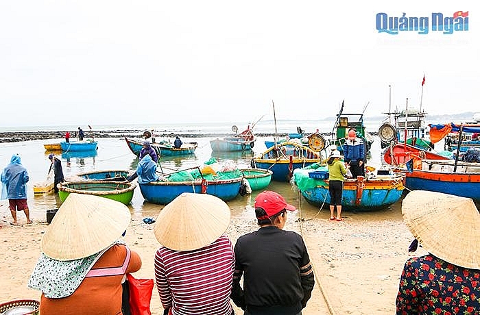 Nhộn nhịp làng chài ngày biển lặng