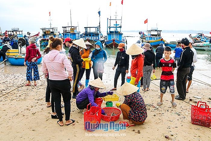 Nhộn nhịp làng chài ngày biển lặng