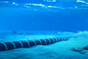 Trung Quốc xây dựng căn cứ bảo trì cáp dưới Biển Đông và biển Hoa Đông như thế nào? Trung Quốc xây dựng căn cứ bảo trì cáp dưới Biển Đông và biển Hoa Đông như thế nào?