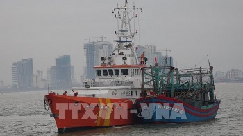 Ứng cứu thành công tàu cá của ngư dân mắc cạn trên quần đảo Trường Sa Ứng cứu thành công tàu cá của ngư dân mắc cạn trên quần đảo Trường Sa