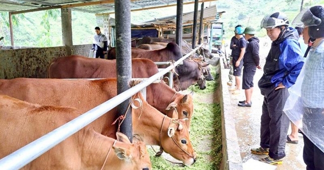 Đổi thay ở vùng cao Trạm Tấu