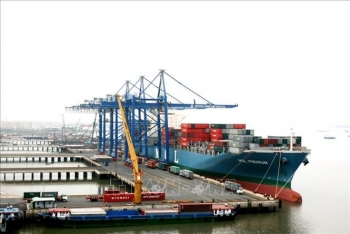 Bà Rịa - Vũng Tàu thúc đẩy liên kết vùng trong phát triển kinh tế biển