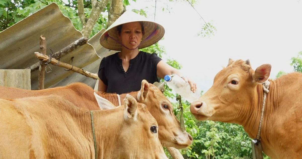 Chủ tịch nước đồng ý sửa Hiệp định tài trợ dự án phát triển khu vực biên giới