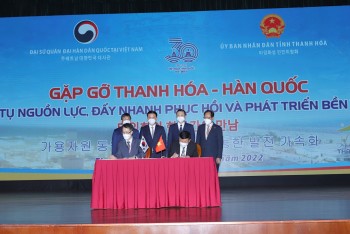 Thanh Hóa - Hàn Quốc: Hợp tác đầu tư sâu, rộng trên nhiều lĩnh vực