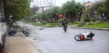 Bão số 9 giật đổ cây xanh, nhà tốc mái tại Đà Nẵng, Quảng Nam, Quảng Ngãi