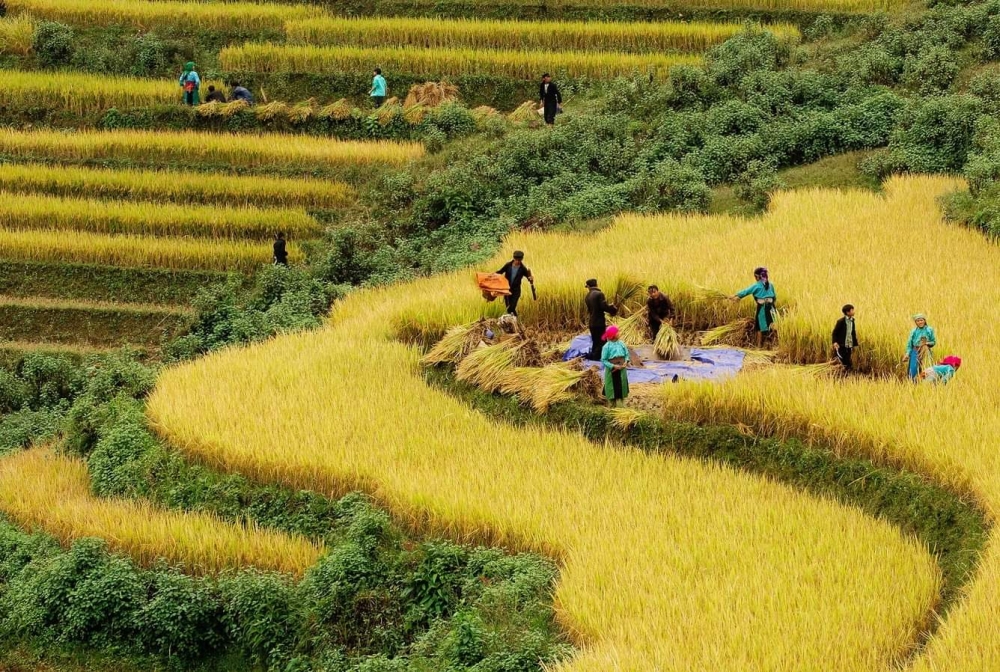 Việt Nam nỗ lực giảm nghèo bền vững