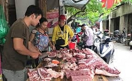 Thủ tướng yêu cầu làm rõ việc giá thịt lợn bị đẩy cao