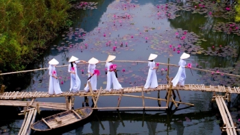 Ảnh "Mùa hoa súng" chụp ở chùa Hương đạt giải nhất cuộc thi quốc tế